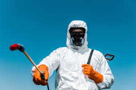 Best Lawn Pest Control  in Parker, AZ